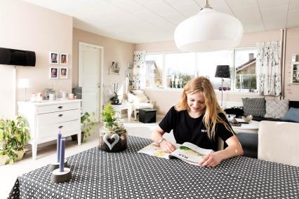 Case, SparEnergi, Efterisolering af loft